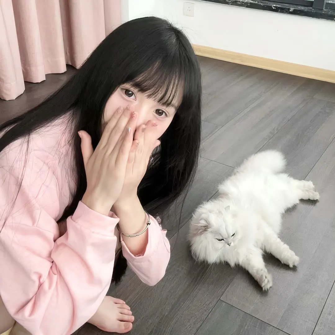 动物城里无小事